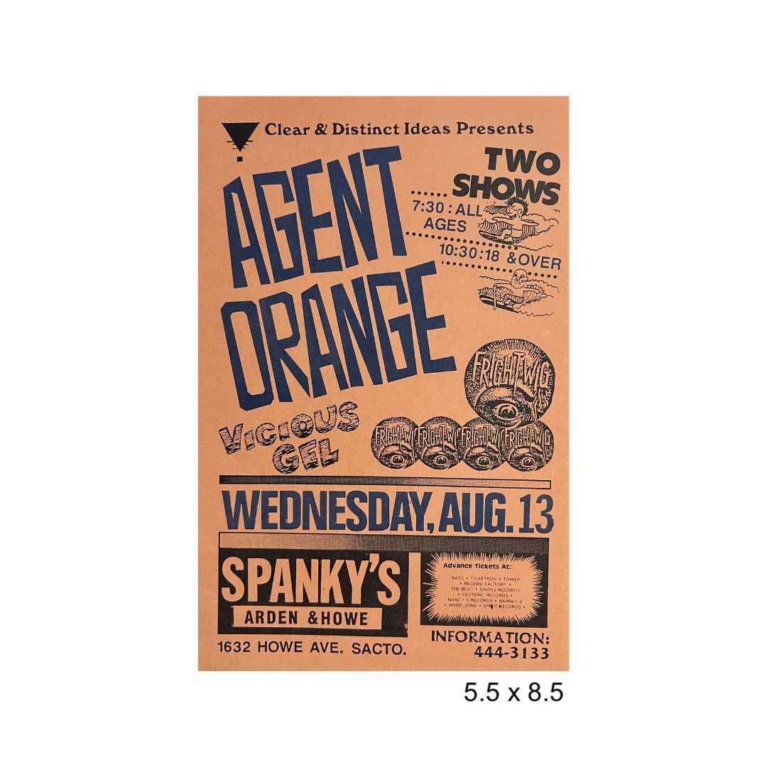 Sacramento punk flyer lot