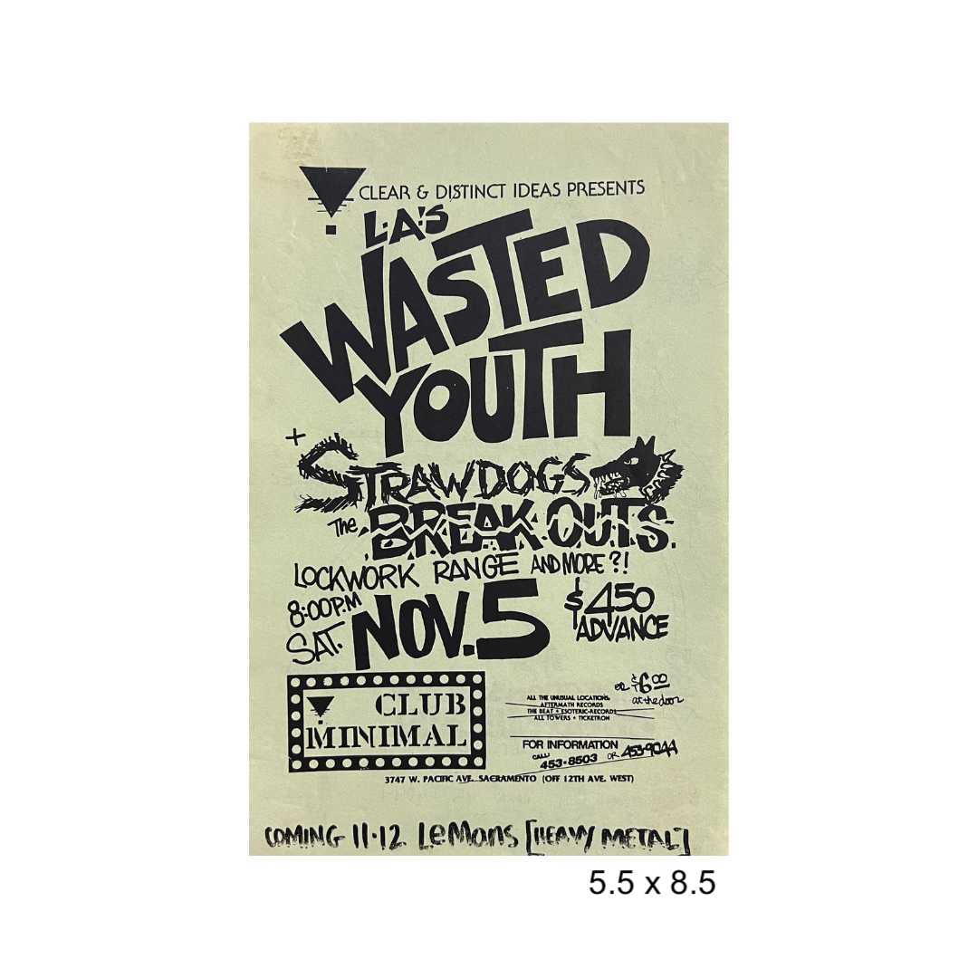 Sacramento punk flyer lot