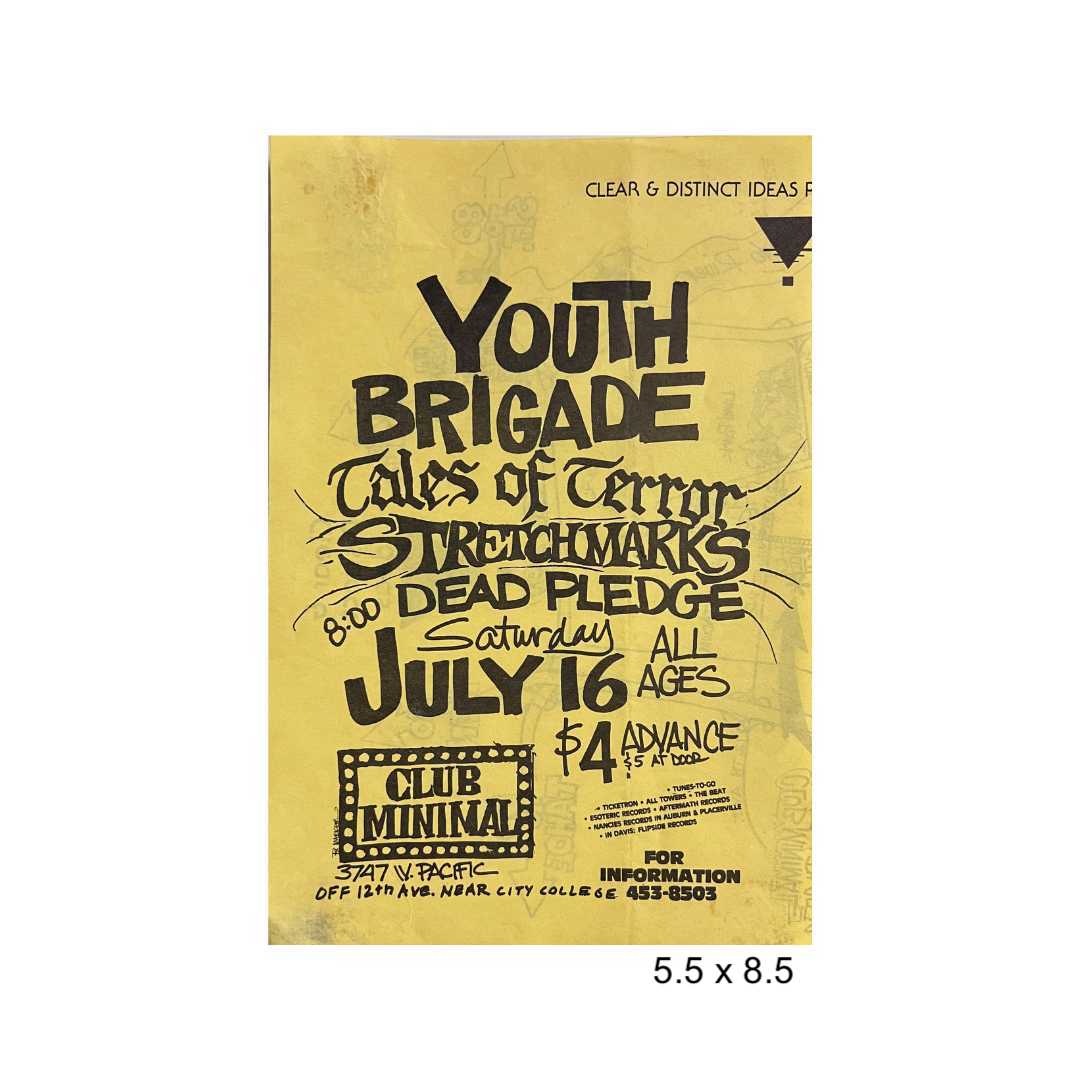 Sacramento punk flyer lot