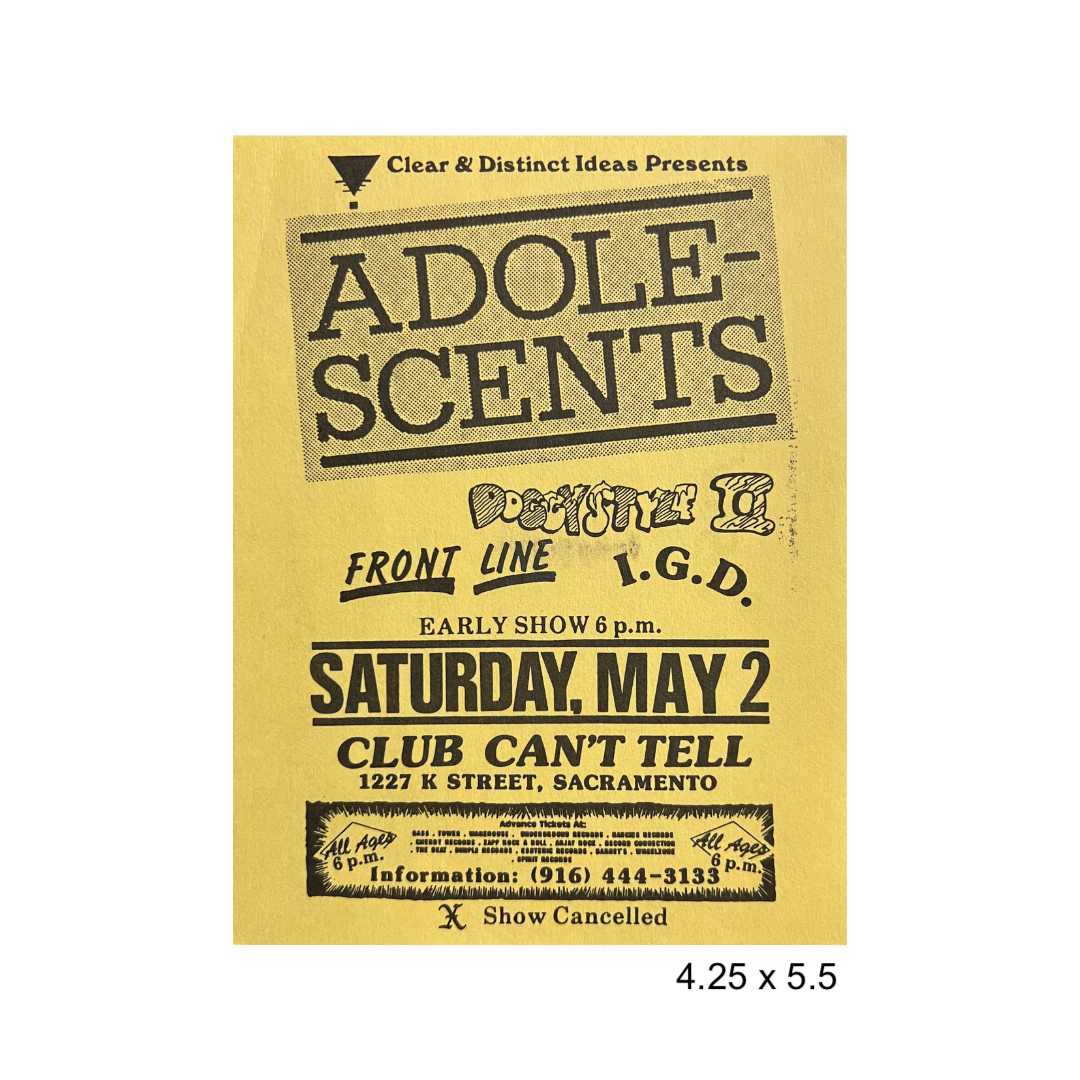 Sacramento punk flyer lot