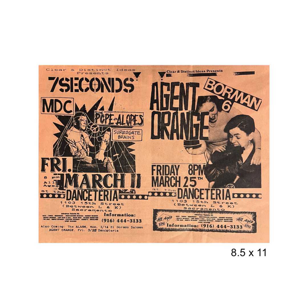 Sacramento punk flyer lot