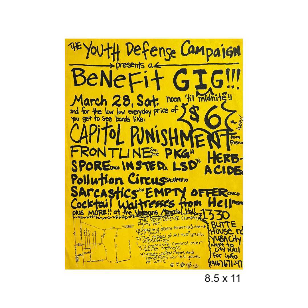 Sacramento punk flyer lot