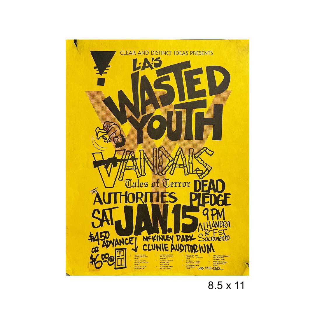 Sacramento punk flyer lot