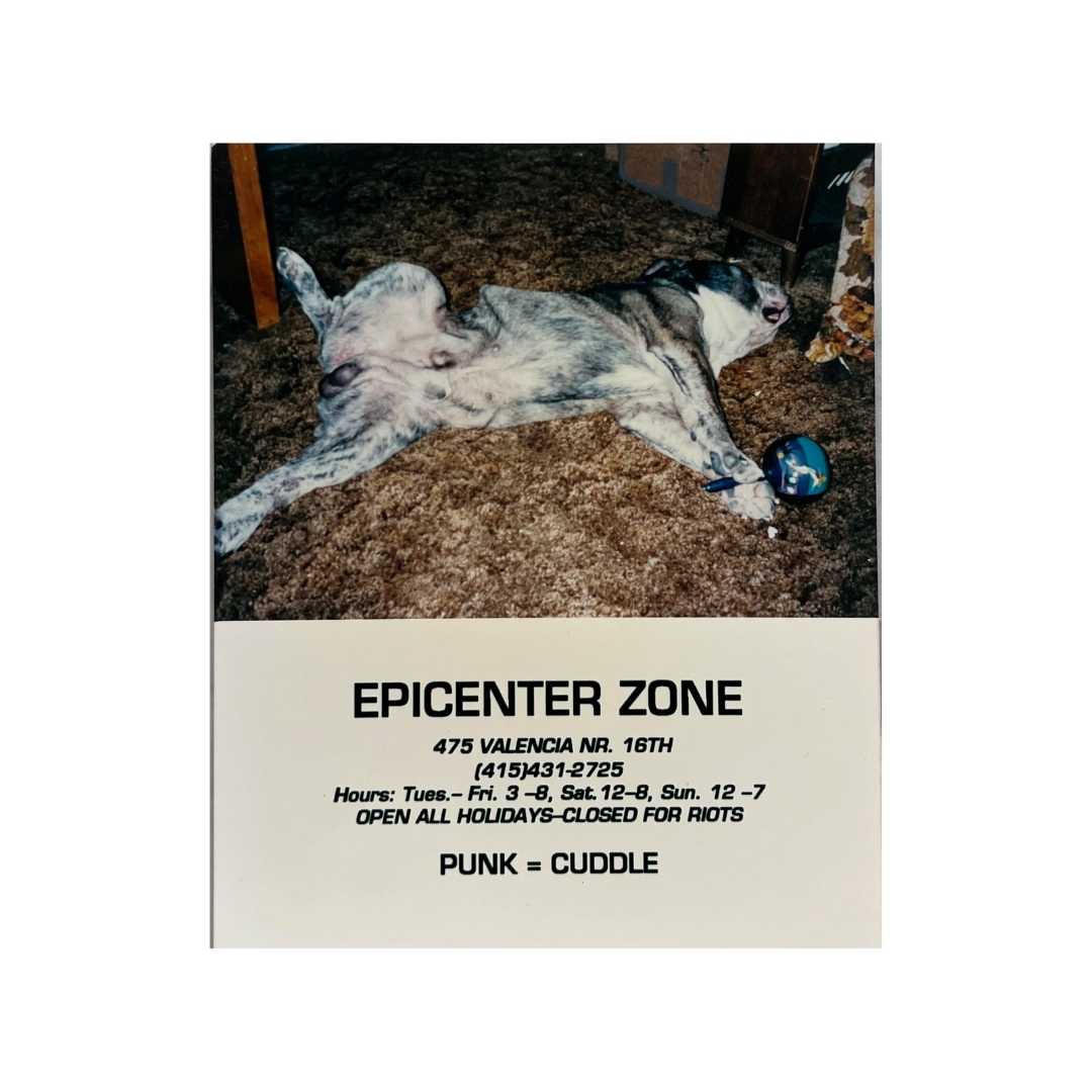 Epicenter Zone photo cards