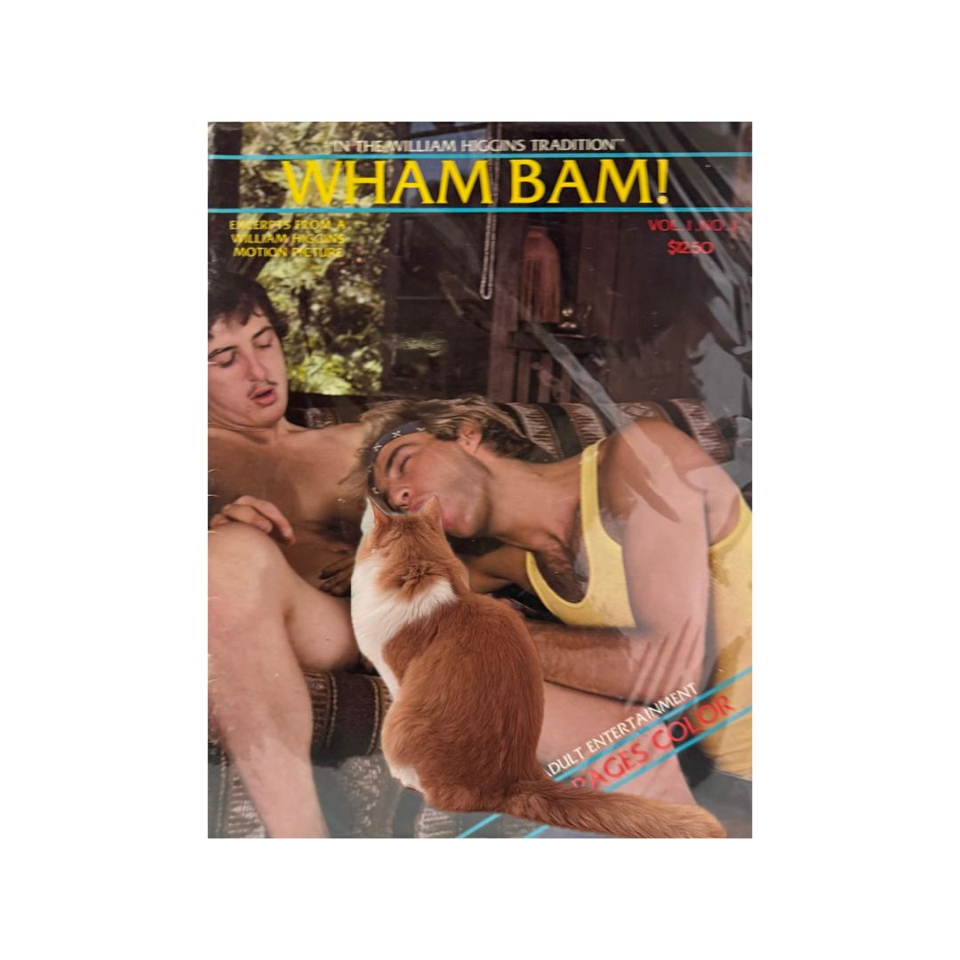 Gay Porn Pictorials