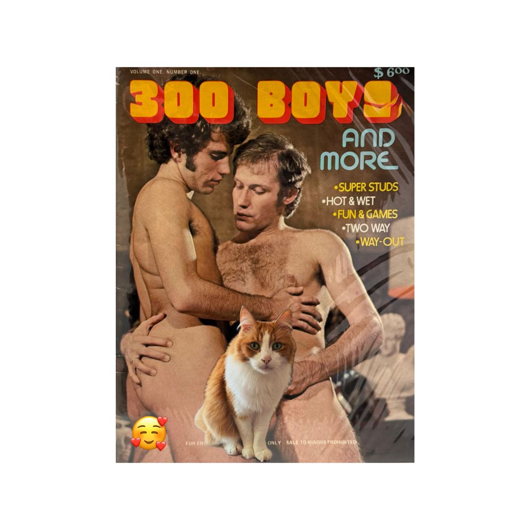 Gay Porn Pictorials