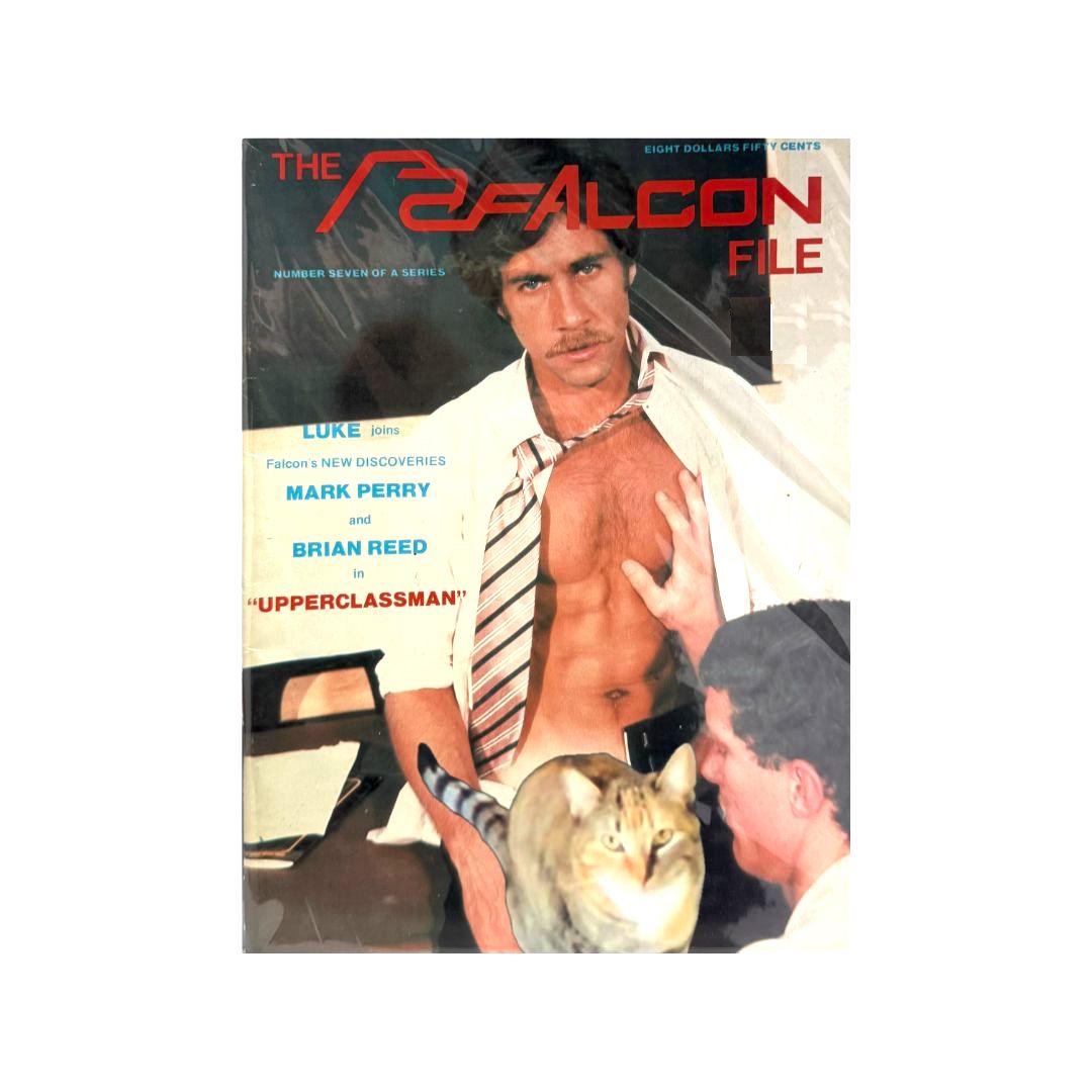 The Falcon File #7